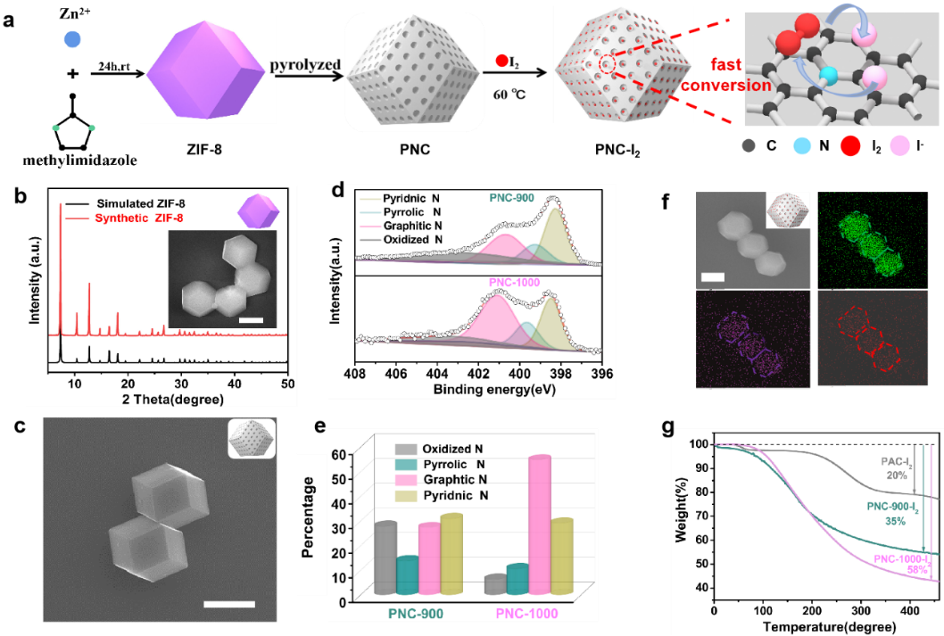 材料的表征(a)氮掺杂多孔碳制备过程的示意图