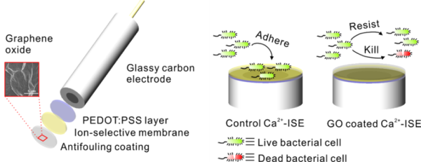 基于氧化石墨烯的聚合物敏感膜电位型传感器的构建和防污原理示意图