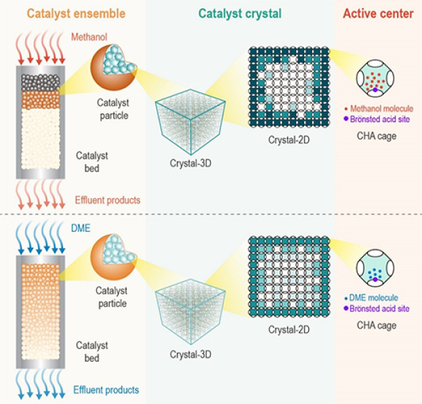 大连化物所揭示甲醇制烯烃反应中的多尺度动态交互作用机制 大连化物所揭示甲醇制烯烃反应中的多尺度动态交互作用机制