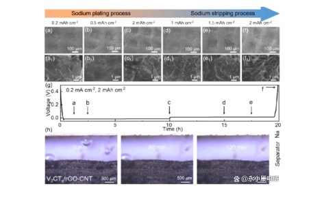 非原位SEM测试和原位光学显微成像研究钠金属负极在V2CTx/rGO-CNT电极上的沉积行为 非原位SEM测试和原位光学显微成像研究钠金属负极在V2CTx/rGO-CNT电极上的沉积行为
