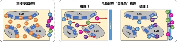 电动发稀土开采过程的自除杂机制示意图 电动发稀土开采过程的自除杂机制示意图