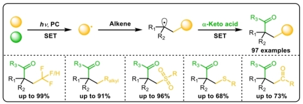 光催化动力学调控的烯烃α-酰化