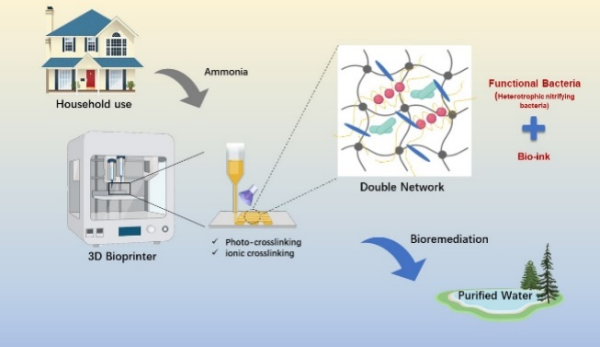 光固化3D打印微生物活性结构功能体及其在污水处理中的应用 光固化3D打印微生物活性结构功能体及其在污水处理中的应用