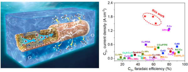 中空纤维铜电极高效电还原CO2示意图与电催化性能 中空纤维铜电极高效电还原CO2示意图与电催化性能