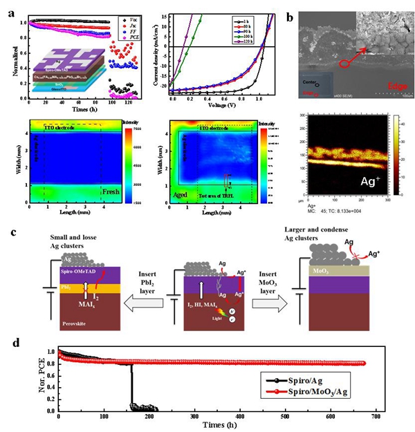 钙钛矿电池运行过程中Ag+离子迁移引起的“突变失效”及MoO3的引入提高运行稳定性机制