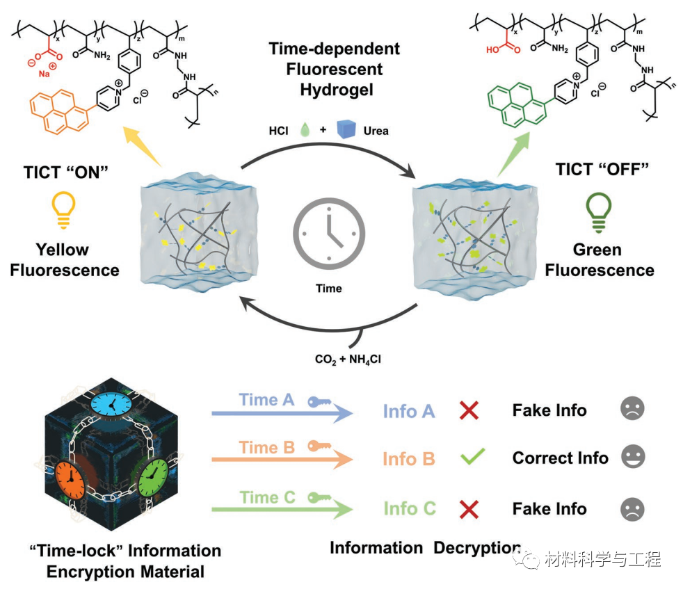 时间依赖性荧光水凝胶和具有时间依赖性安全性的高级信息加密材料的示意图 时间依赖性荧光水凝胶和具有时间依赖性安全性的高级信息加密材料的示意图