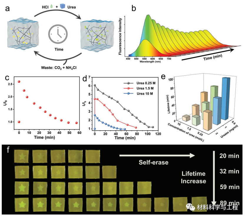 时间依赖性荧光水凝胶 时间依赖性荧光水凝胶
