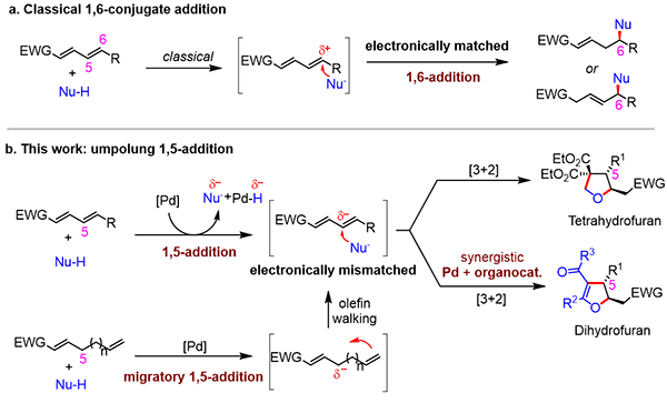 极性反转的1,5-加成反应 极性反转的1,5-加成反应
