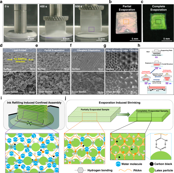3D结构色生成的机制