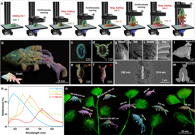 高精度 3D 打印彩色锦鲤结构