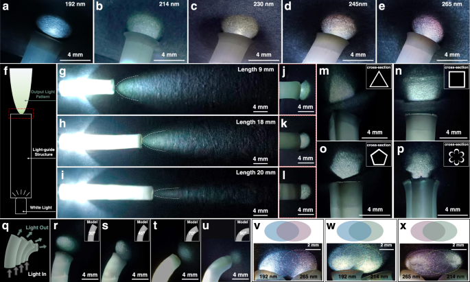 作为颜色和图案选择性光学光导管的连续 DLP 3D 打印 PC 结构