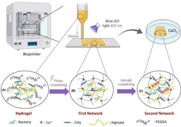 光固化3D打印微生物活性结构功能体及其在污水处理中的应用 光固化3D打印微生物活性结构功能体及其在污水处理中的应用