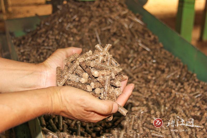 废枝杂木“变身”环保生物质颗粒燃料 废枝杂木“变身”环保生物质颗粒燃料