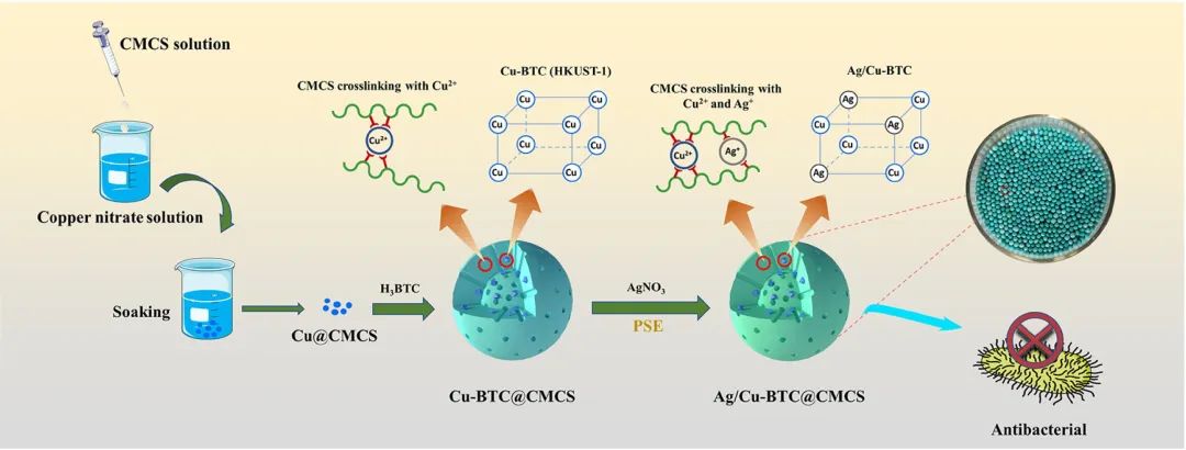 双金属复合材料Ag/Cu-BTC@CMCS的构建 双金属复合材料Ag/Cu-BTC@CMCS的构建