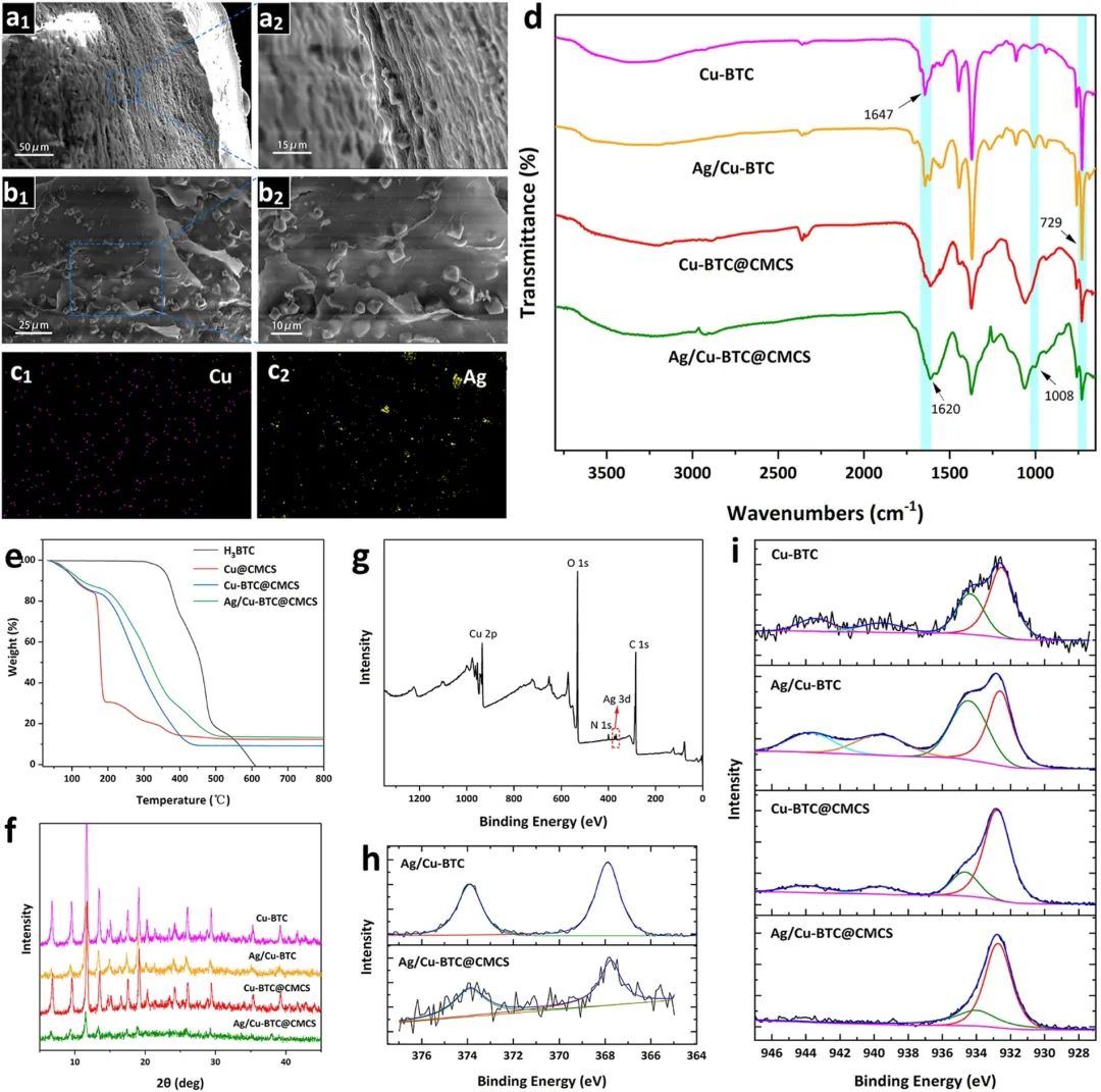 Ag/Cu-BTC@CMCS的的结构表征 Ag/Cu-BTC@CMCS的的结构表征