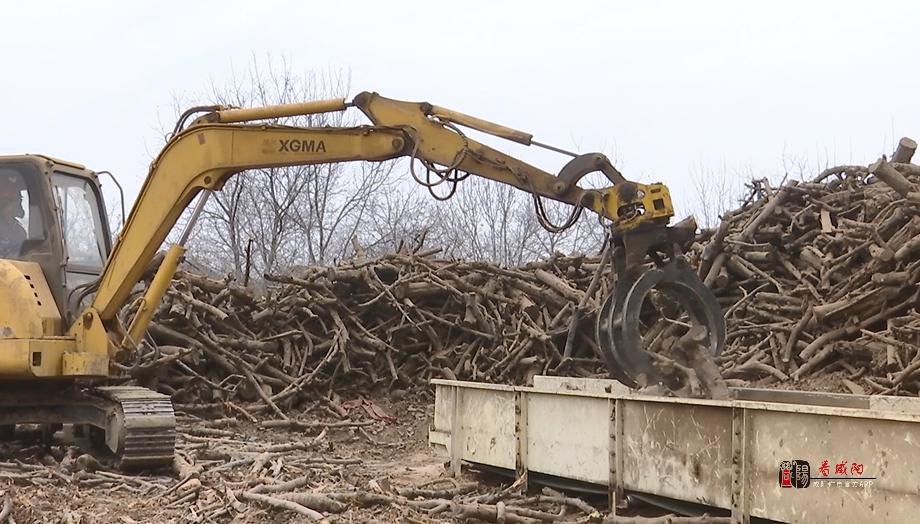 生物质颗粒燃料产业打破传统燃料格局脱颖而出 生物质颗粒燃料产业打破传统燃料格局脱颖而出