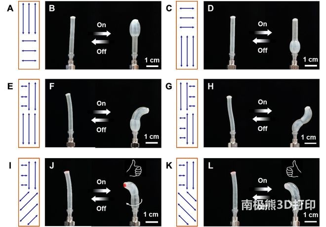 具有复杂取向的LCE-SPAs的气动形变 具有复杂取向的LCE-SPAs的气动形变