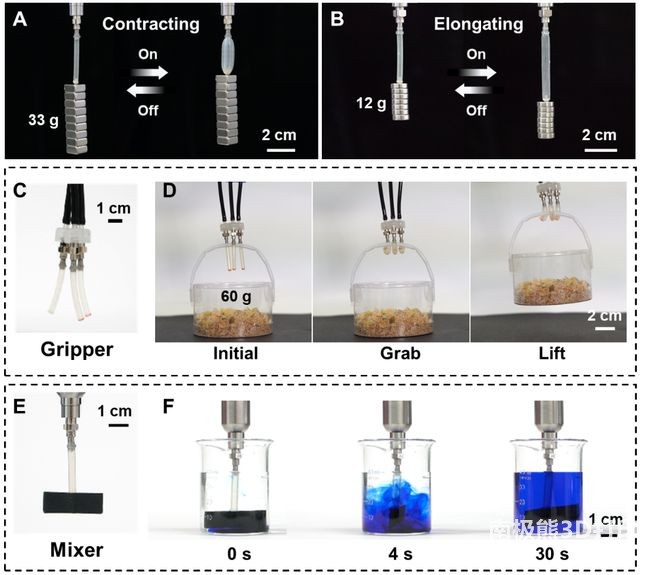 LCE-SPAs执行不同任务 LCE-SPAs执行不同任务