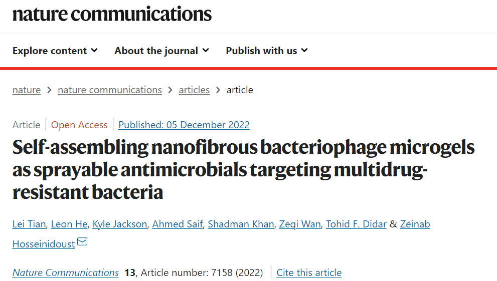 自组装纳米纤维噬菌体微凝胶