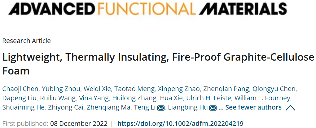 轻质、隔热、防火石墨-纤维素泡沫
