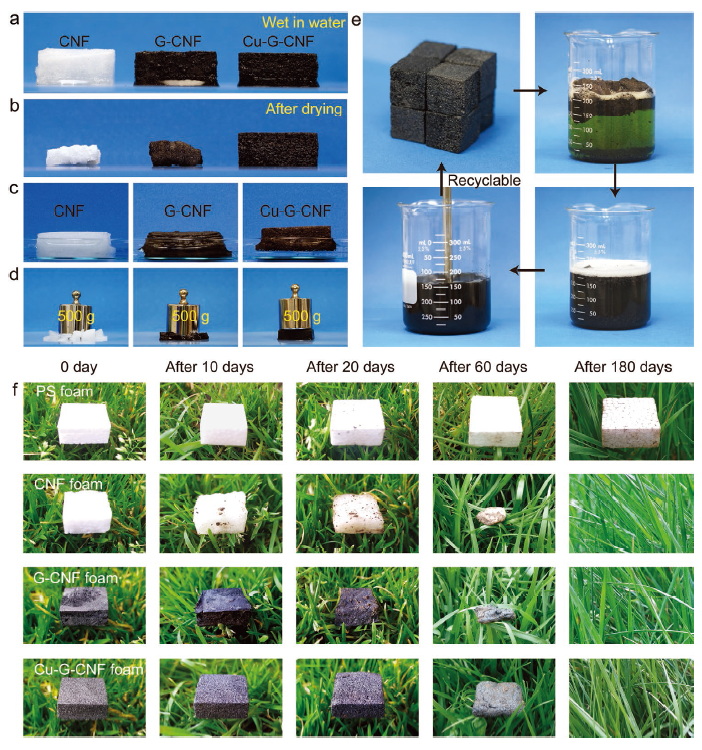 Cu-G-CNF泡沫的水稳定性、可回收性和可降解性