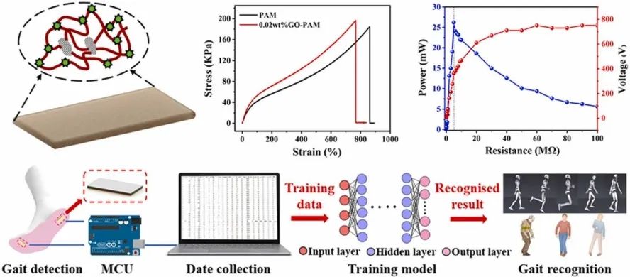 GO-PAM水凝胶的应变传感器监测包括步态运动在内的细微人类运动 GO-PAM水凝胶的应变传感器监测包括步态运动在内的细微人类运动