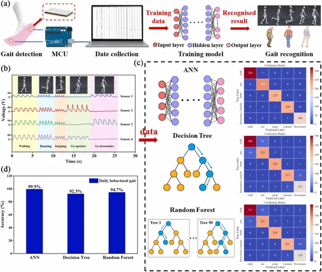 水凝胶传感器助力步态分析 水凝胶传感器助力步态分析