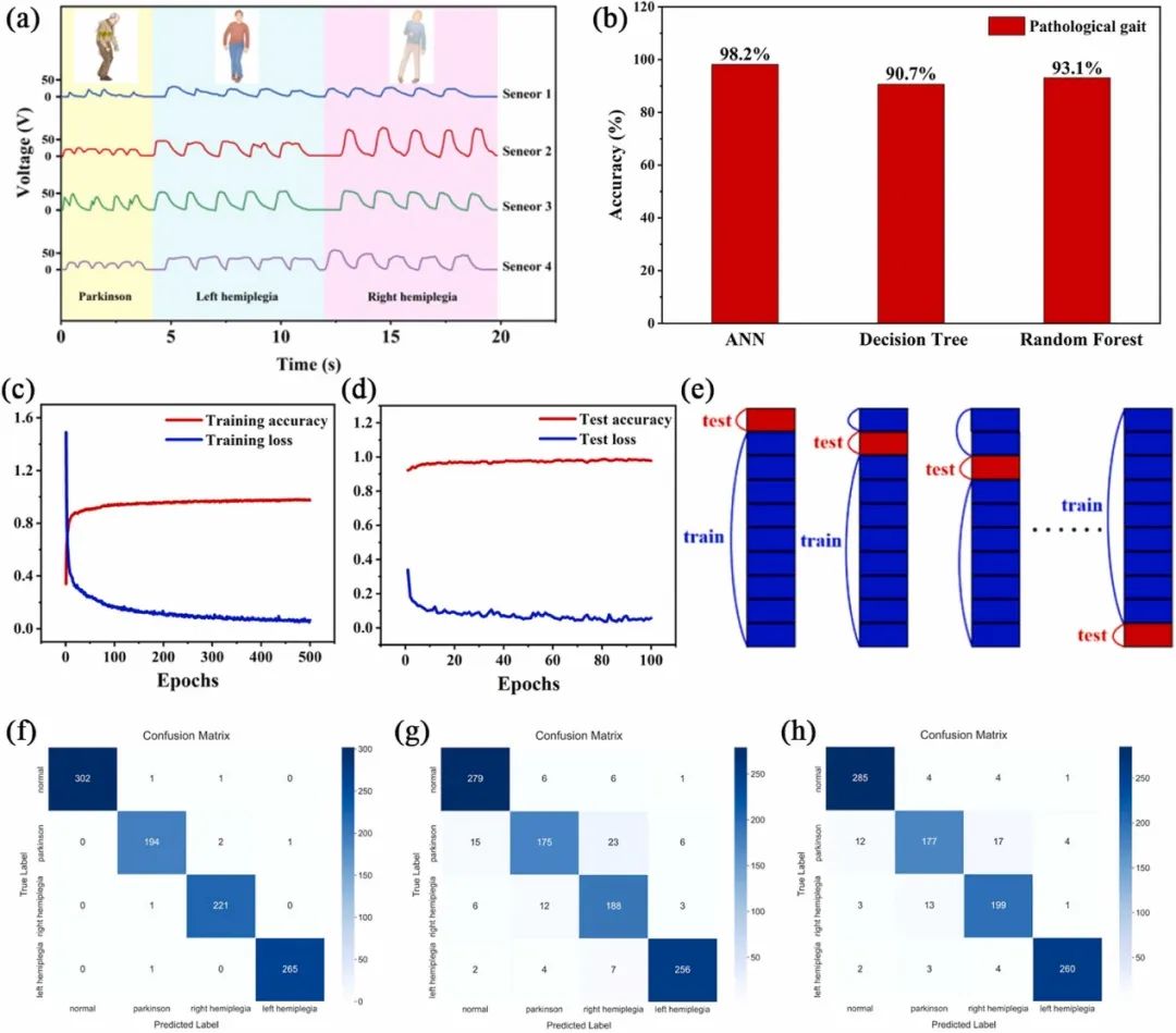 水凝胶传感器助力步态分析 水凝胶传感器助力步态分析
