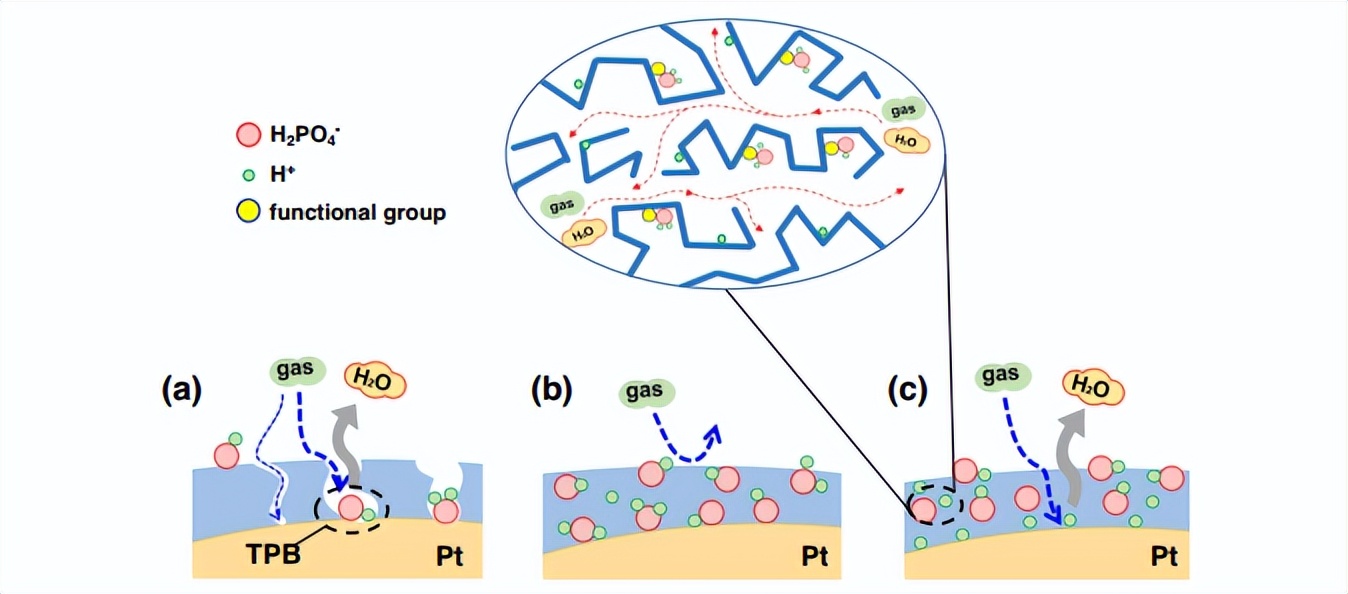 未加入PIMs和加入PIMs催化剂/电极表面示意图