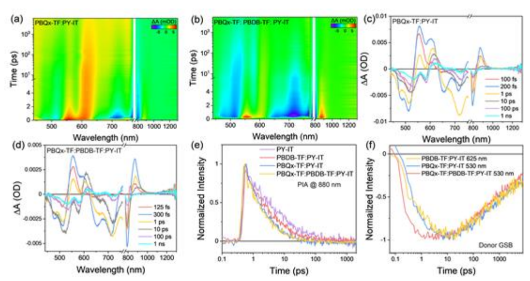 电荷转移和复合动力学