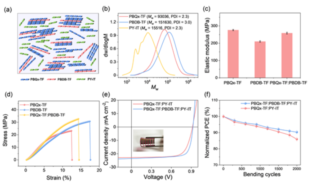 具有优异力学性能的高效全聚合物有机光伏