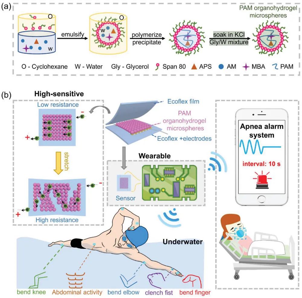 用于可穿戴人机交互的有机水凝胶微球薄膜高性能应变传感器 用于可穿戴人机交互的有机水凝胶微球薄膜高性能应变传感器