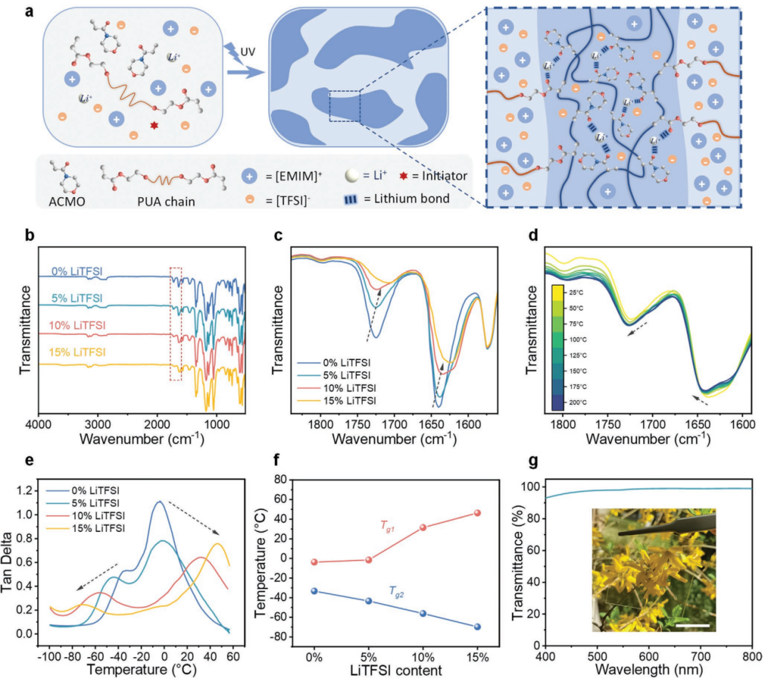Li诱导微相分离离子凝胶的制备及性能表征 Li诱导微相分离离子凝胶的制备及性能表征