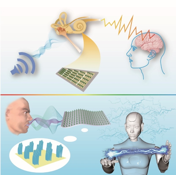微锥阵列柔性压电声敏器件应用演示图