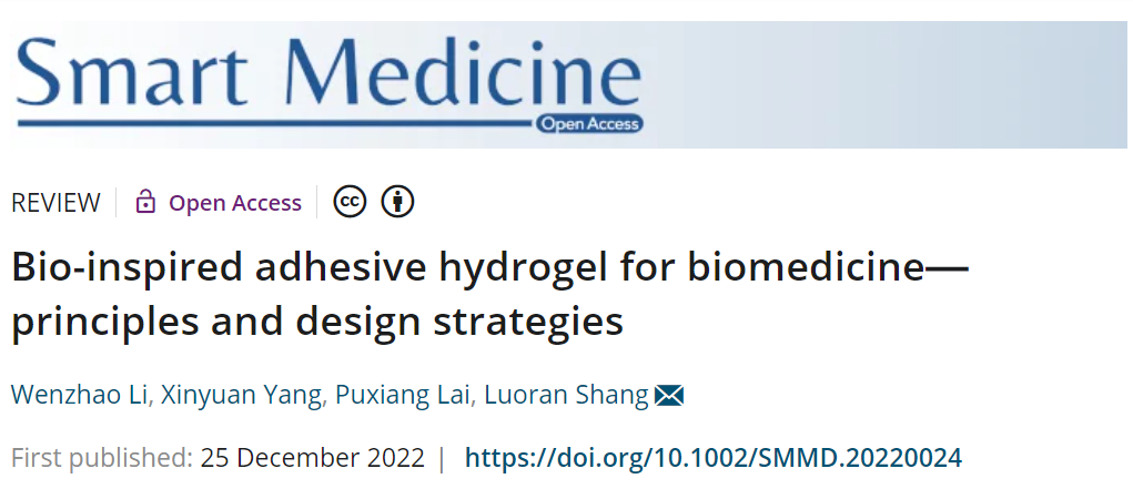 一文了解仿生水凝胶粘合剂的设计原理及策略 一文了解仿生水凝胶粘合剂的设计原理及策略