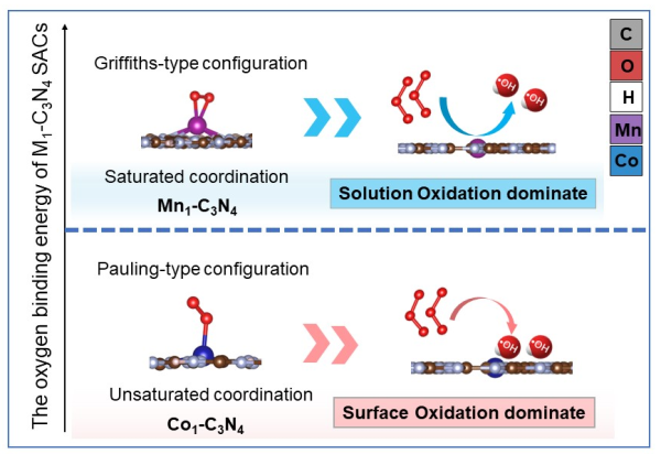 不同MN4位点上O3活化中间产物吸附构型及相应的·OH氧化区间