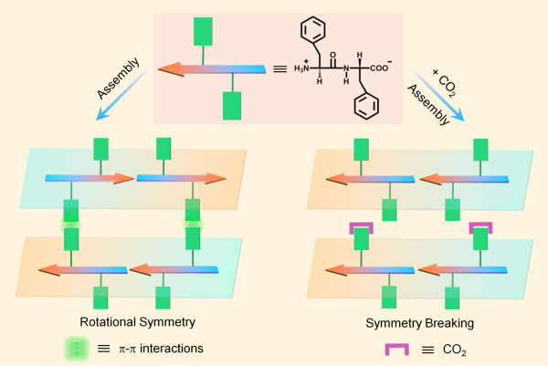 CO2诱导二肽层状晶体对称性破缺