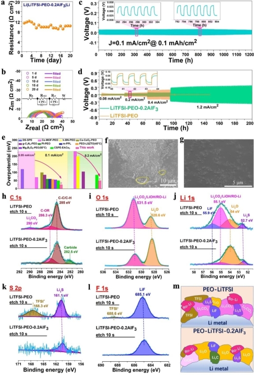 锂沉积-剥离循环过程中的负极-电解质界面稳定性、形貌和组分演化 锂沉积-剥离循环过程中的负极-电解质界面稳定性、形貌和组分演化