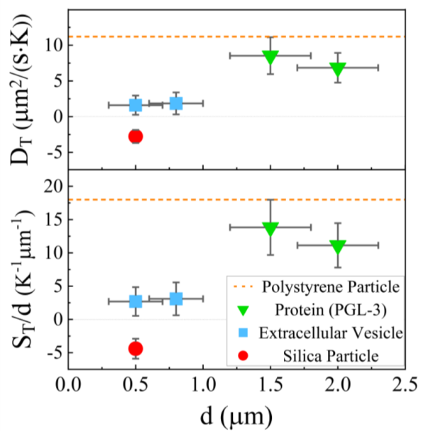 疏水蛋白质颗粒(绿色倒三角)的热泳比亲水外泌体(蓝色方块)快约4倍,而二氧化硅(红色圆圈)的热泳迁移率和Soret系数均为负 疏水蛋白质颗粒(绿色倒三角)的热泳比亲水外泌体(蓝色方块)快约4倍,而二氧化硅(红色圆圈)的热泳迁移率和Soret系数均为负