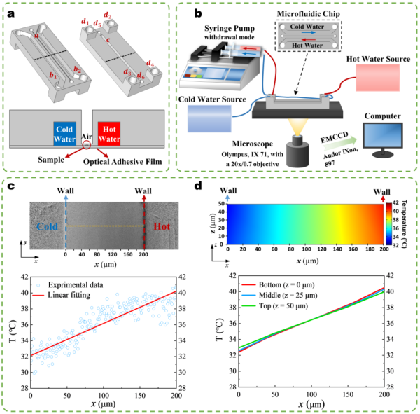 微流控芯片及其中温度梯度的建立 微流控芯片及其中温度梯度的建立