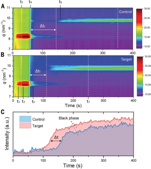 钙钛矿薄膜的结晶动力学 钙钛矿薄膜的结晶动力学