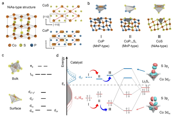 基于NiAs型和MnP型催化剂的结构调控示意图
