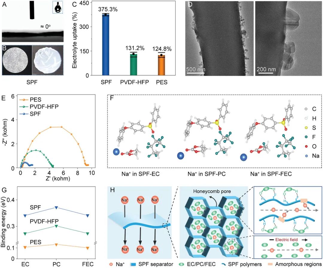 SPF隔膜中的离子转移机制