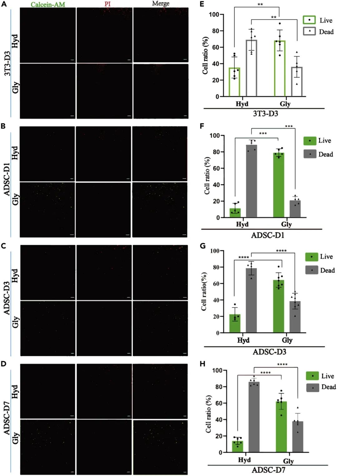 3D打印甘油水凝胶生物墨水模型的维形能力和生物相容性