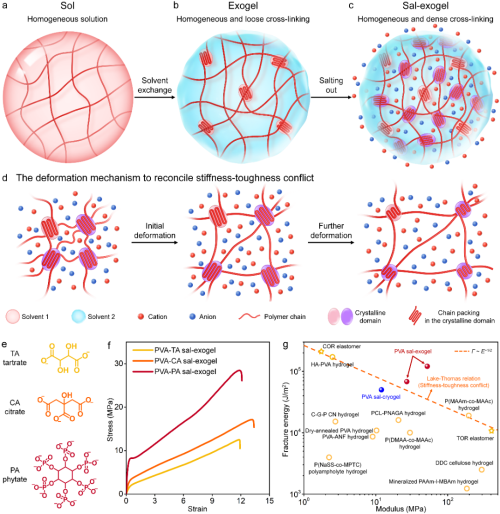 基于均匀动态交联设计的增强策略以及PVA sal-exogels的力学性能 基于均匀动态交联设计的增强策略以及PVA sal-exogels的力学性能