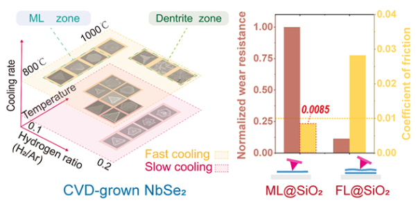 CVD法制备NbSe2单晶以及单层超低摩擦与超耐磨 CVD法制备NbSe2单晶以及单层超低摩擦与超耐磨