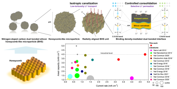 基于界面双重共价调控各向同性渠化策略的碳硅杂化微粒及储锂性能