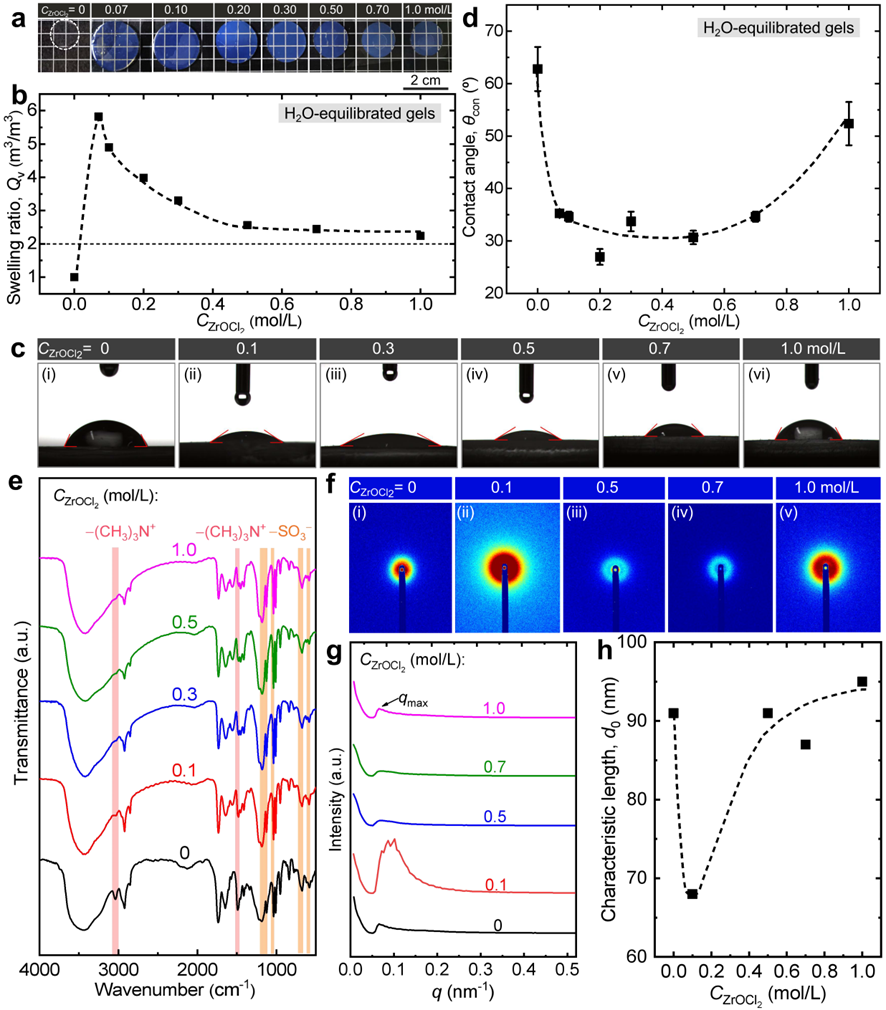 溶胀且增强的聚两性电解质水凝胶的溶胀行为及结构表征