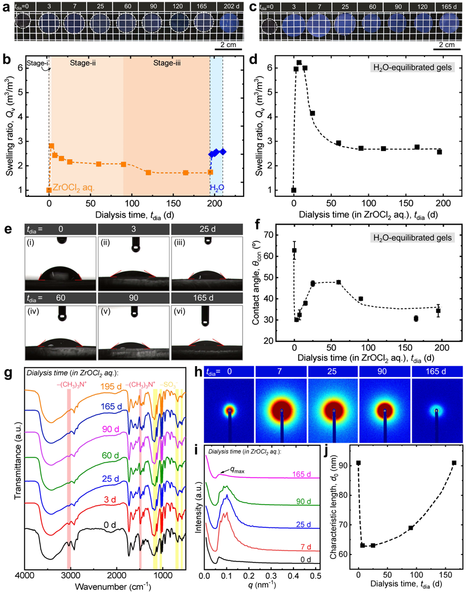 溶胀且增强的聚两性电解质水凝胶的溶胀行为及结构表征