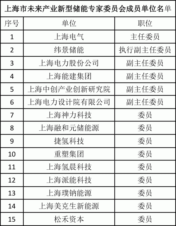 上海市未来产业新型储能专家委员会成立 上海市未来产业新型储能专家委员会成立